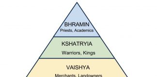 Organizarea socială în India