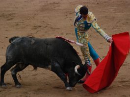 Corida