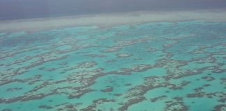 Marea Barieră de Corali