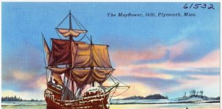 Nava Mayflower