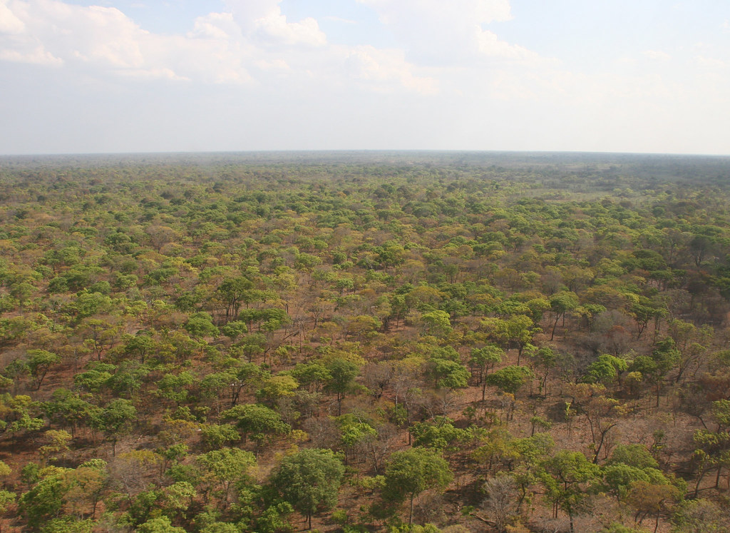 Rezervația Naturală Kafue