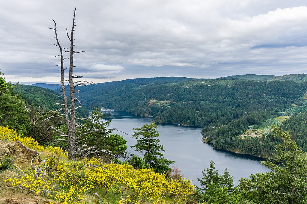 Rezervația Naturală Vancouver Island