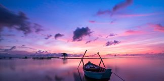 Cum este corect – barcagii, camionagii, geamgii sau barcagiii, camionagiii, geamgiii