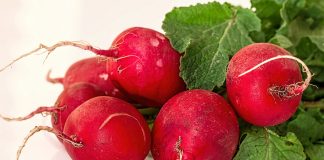 Cum este corect – ridichie sau ridiche