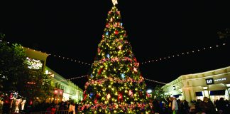 10 lucruri curioase despre Crăciun