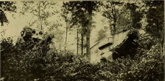 Care sunt cauzele ce au dus la începerea Primului Război Mondial