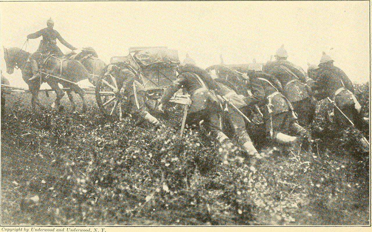 Care sunt cauzele ce au dus la începerea Primului Război Mondial1