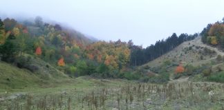 Pe malul mării…de nori, în Munţii Vrancei (Muntele Coza)