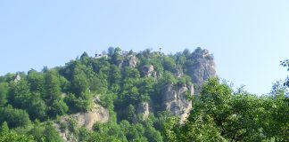 Bujori de munte, ii şi Sânziene în Munţii Iezer-Păpuşa (I)