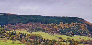 Aberfeldy