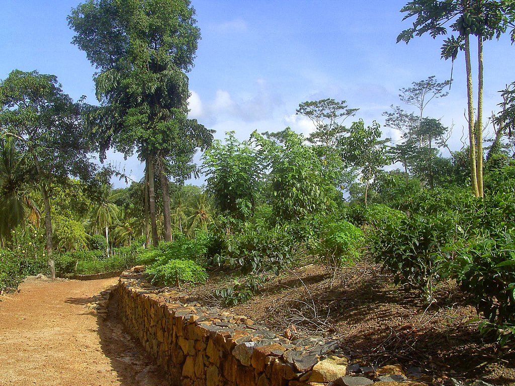 Ahangama Sri Lanka