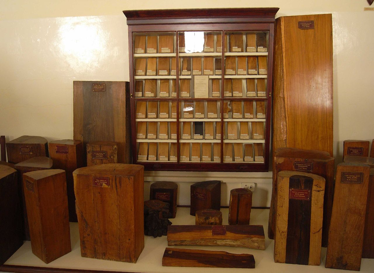 Albany History Museum1