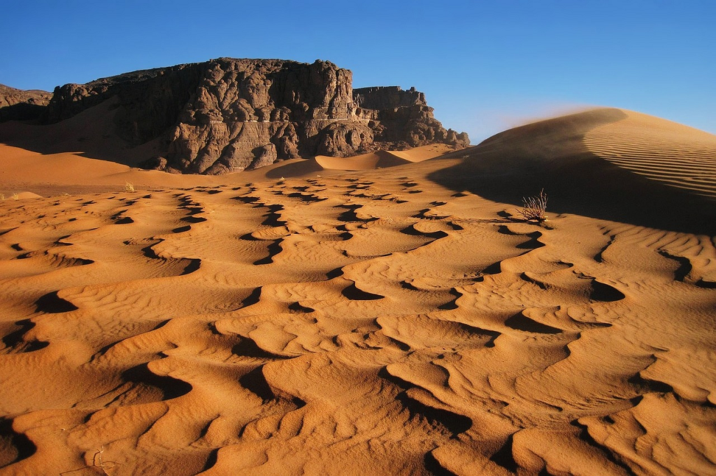 Algeria Algeria