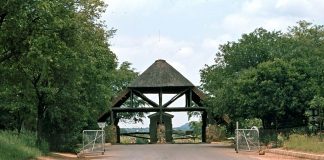 Amarula Lapa: Obiective turistice Africa de Sud – Phalaborwa Amarula Lapa