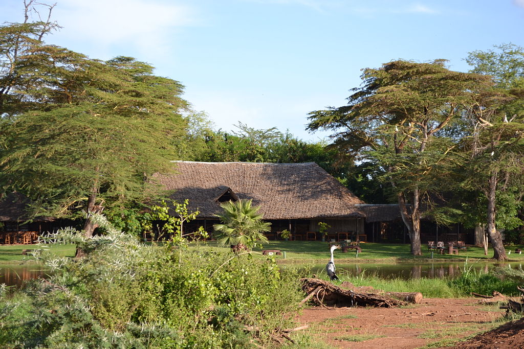 Amboseli pasari