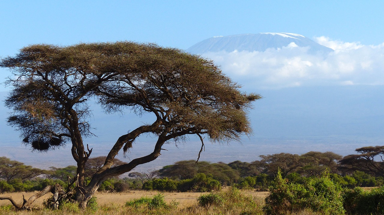 Amboseli