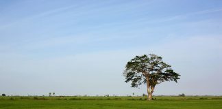 Amparai – Sri Lanka: Orașe de vizitat Ampara