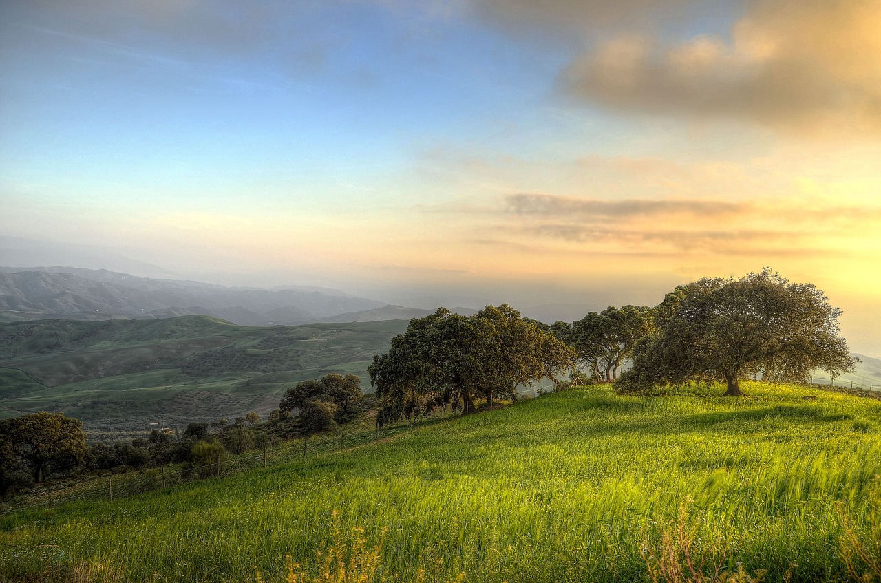 Andalusia