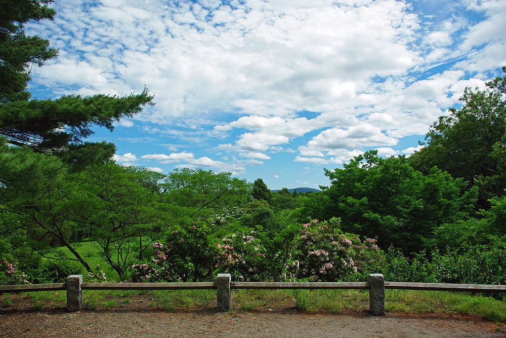 Arnold Arboretum