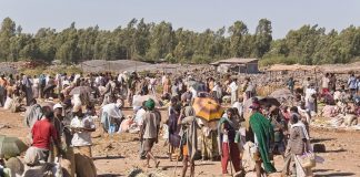 Bahir Dar