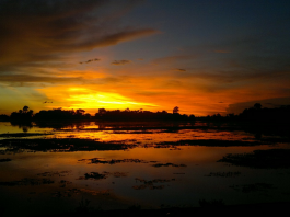 Bangladesh