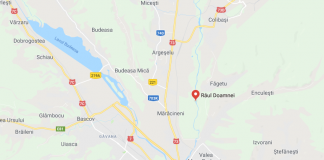 Bazinul Raul Doamnei