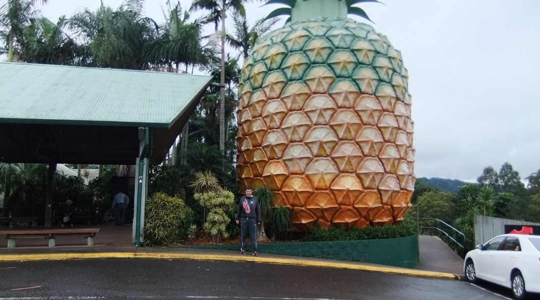 Big Pineapple Big Pineapple