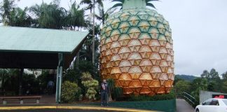Big Pineapple