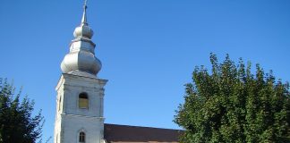 Biserica “Adormirea Maicii Domnului Alba