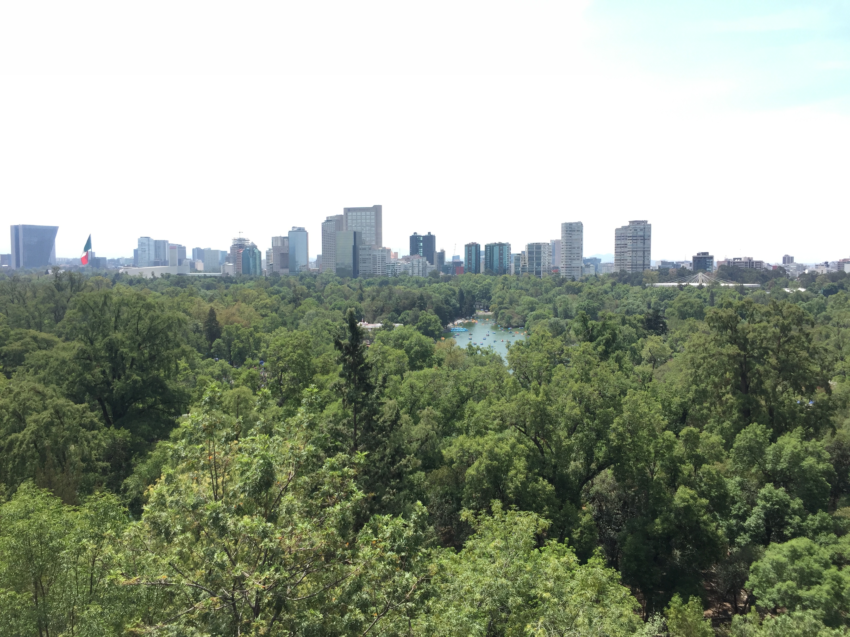 Bosque de Chapultepec