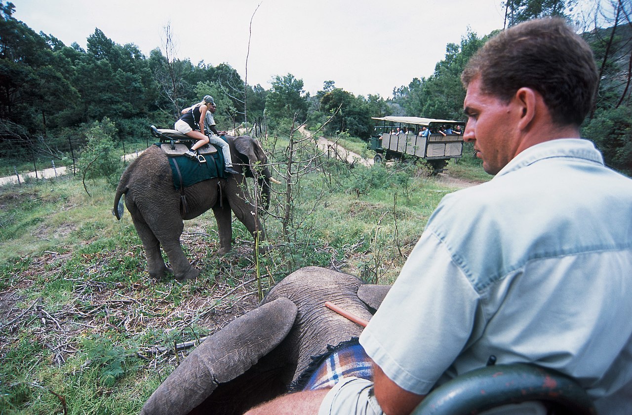 Botlierskop Private Game Reserve1