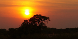 Botswana : Țări de vizitat Botswana