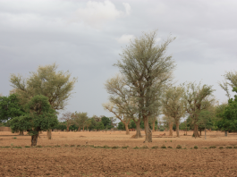 Burkina faso