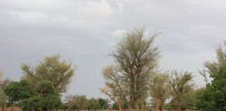 Burkina Faso : Țări de vizitat Burkina faso