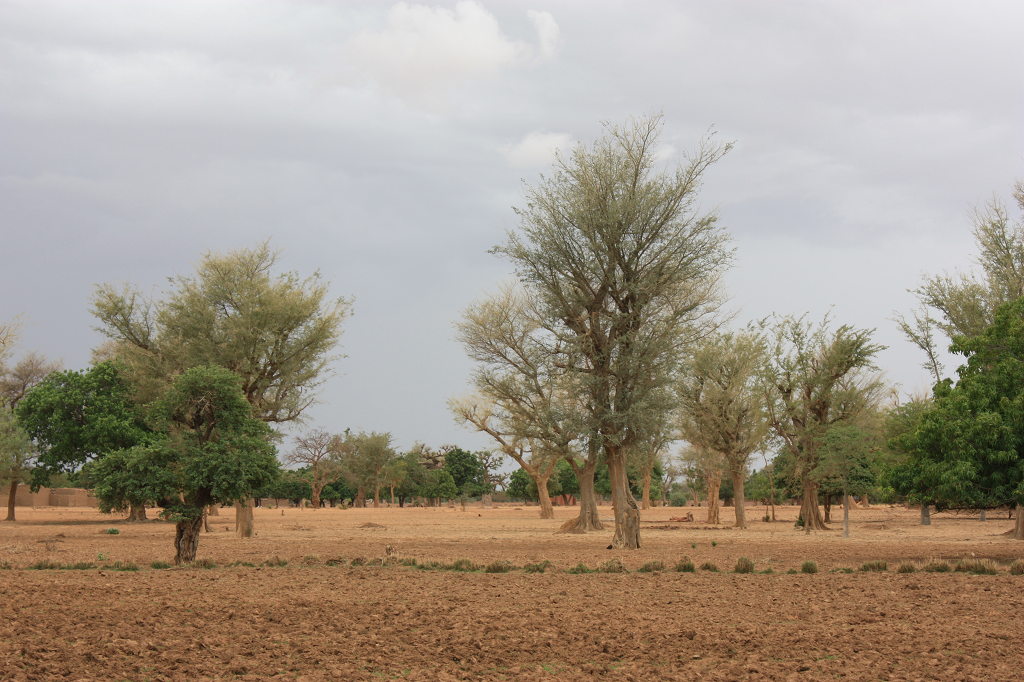 Burkina faso Burkina faso