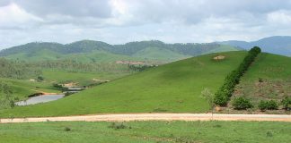 Campia Vaselor de pe platoul Xiangkhoang