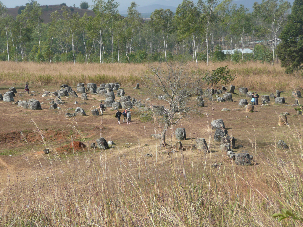 Campia Vaselor de pe platoul Xiangkhoang1