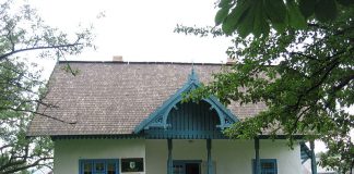 Casa Memoriala Nicolae Labis