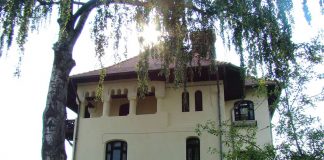 Casa Norocea