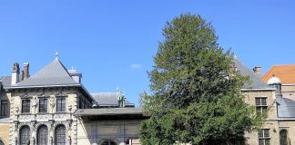 Casa lui Rubens