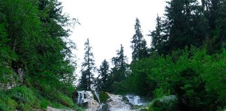 Cascada Cailor