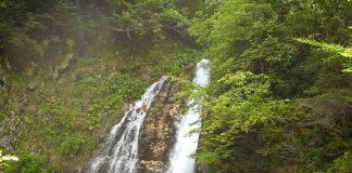 Cascada Urlătoarea