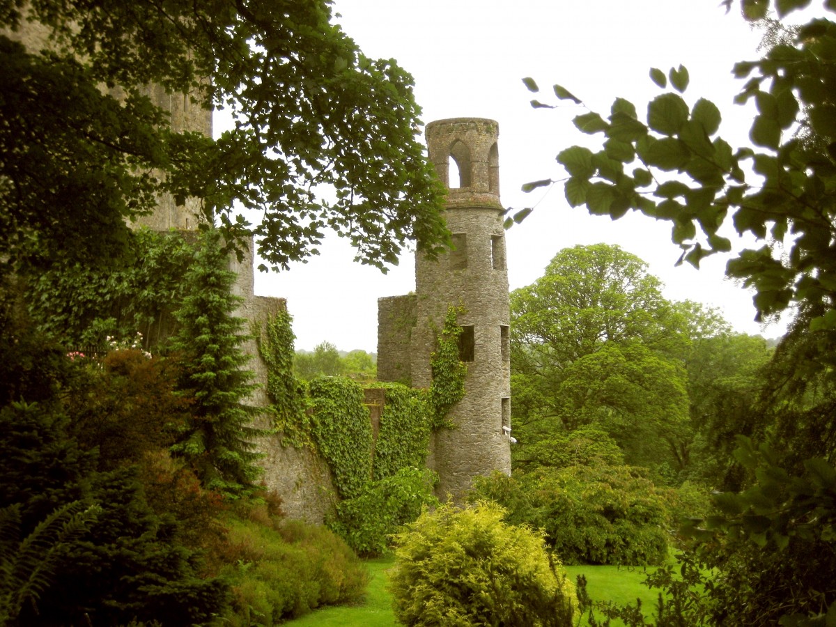 Castelul Blarney: Obiective turistice Irlanda - Blarney - Deștepți.ro