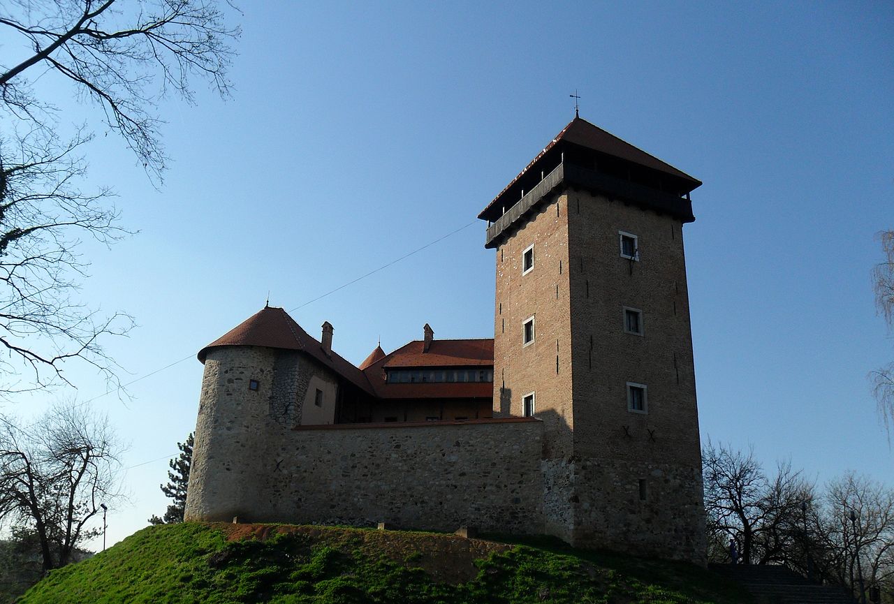 Castelul Dubovac