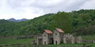 Castrul Roman Arutela