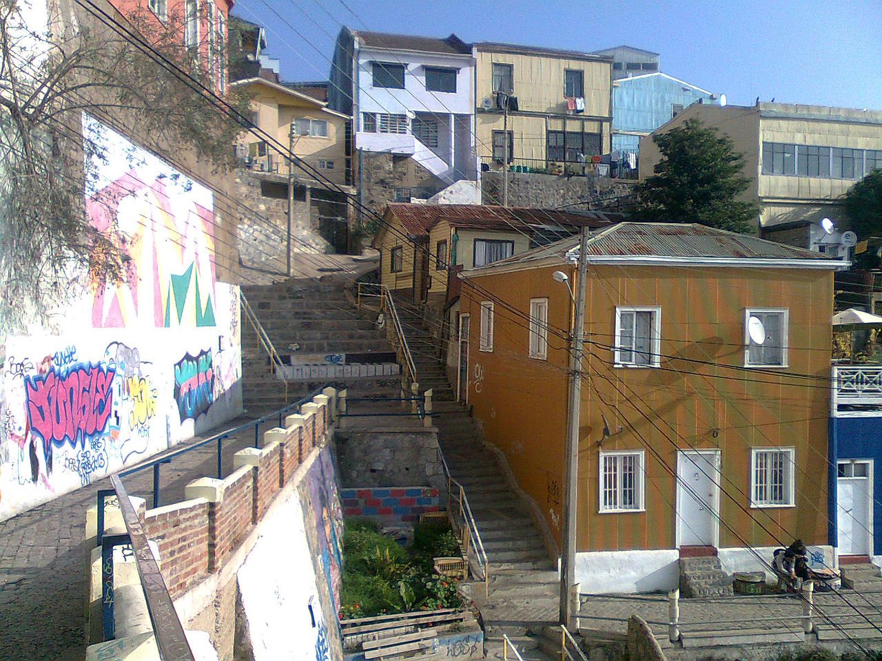 Cerro Bellavista