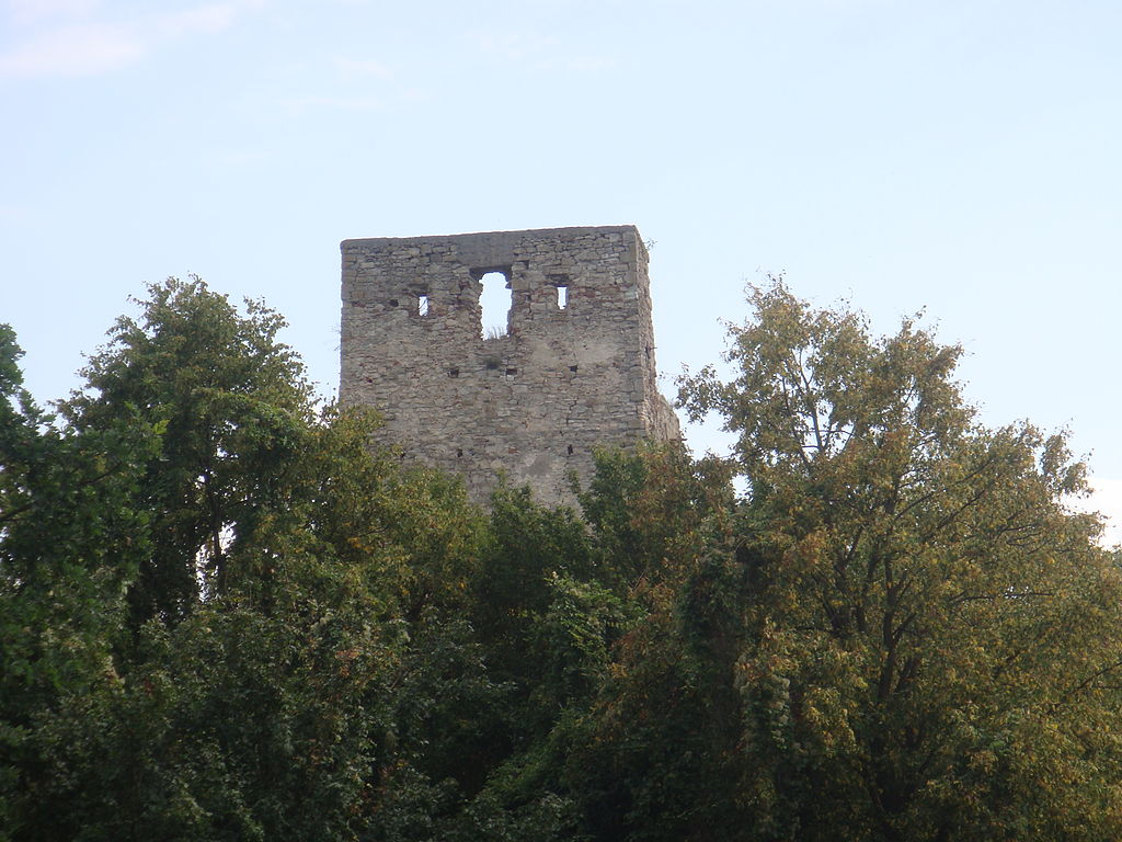 Cetatea Almăşului
