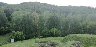 Cetatea Blidaru