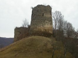 Cetatea Bologa