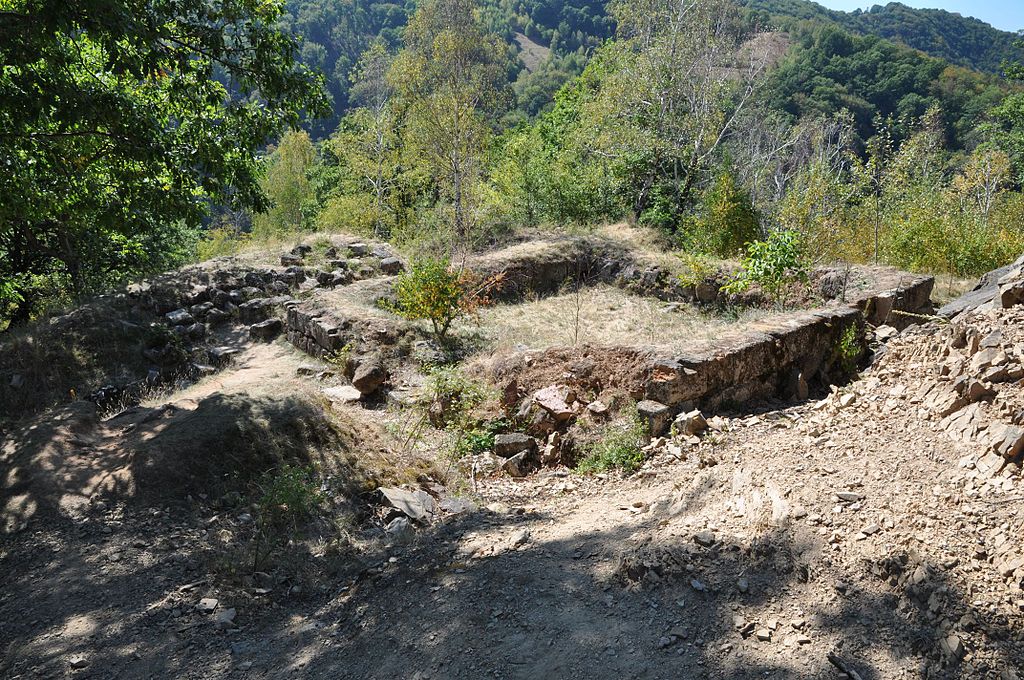 Cetatea Căpâlna111